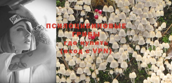 крисы Белоозёрский