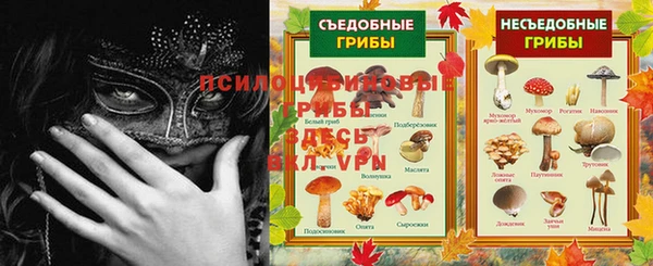 MESCALINE Белокуриха