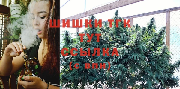 стаф Беломорск