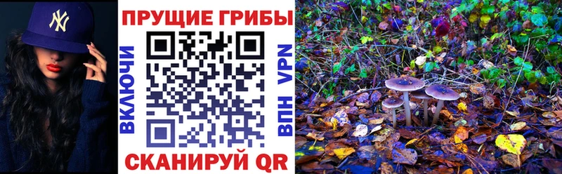 Галлюциногенные грибы MAGIC MUSHROOMS  Клин 